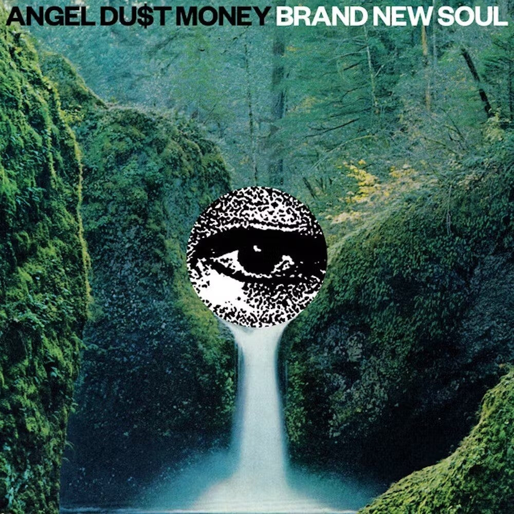 the album cover for Angel Du$t - Brand New Soul [Colored Vinyl] (Grn) (Can)
