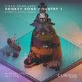 the album cover for Michael Staple - Video Game Lofi: Donkey Kong Country 2 - O.S.T.