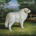 the album cover for Douglas Mccombs  Andrew - Vmak&Lt;Kombz&Lt;&Lt;&Lt;Duglas&Lt;&Lt;6ndr7&Lt;