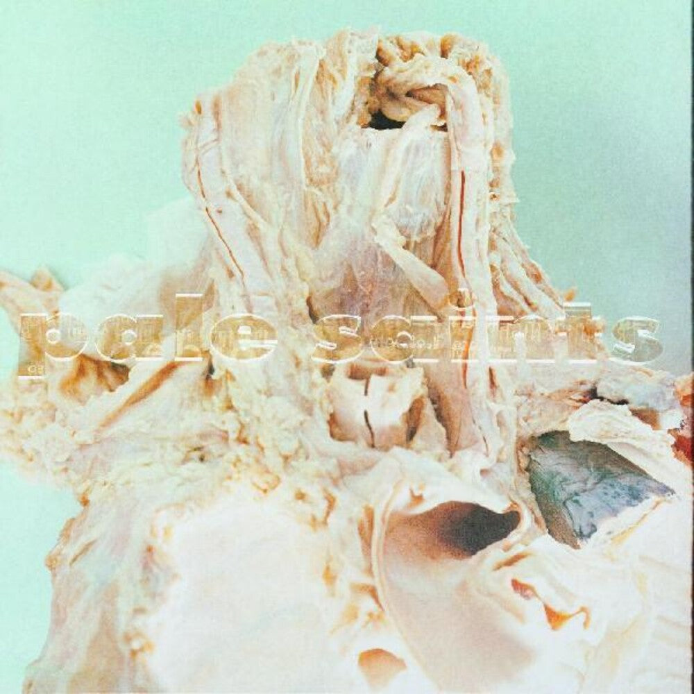 the album cover for Pale Saints - In Ribbons [Digipak]