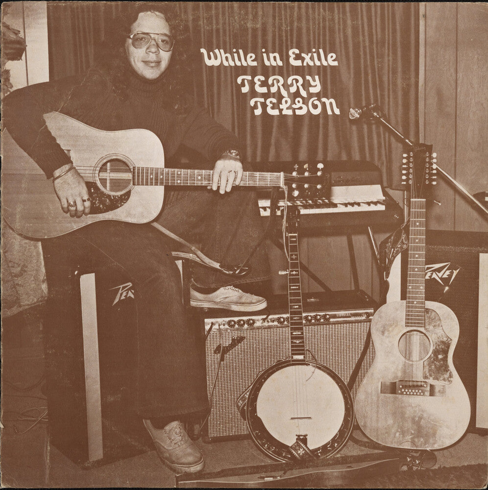 the album cover for Terry Telson - While In Exile (Dli)