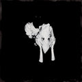 the album cover for Sigur Ros - Kveikur