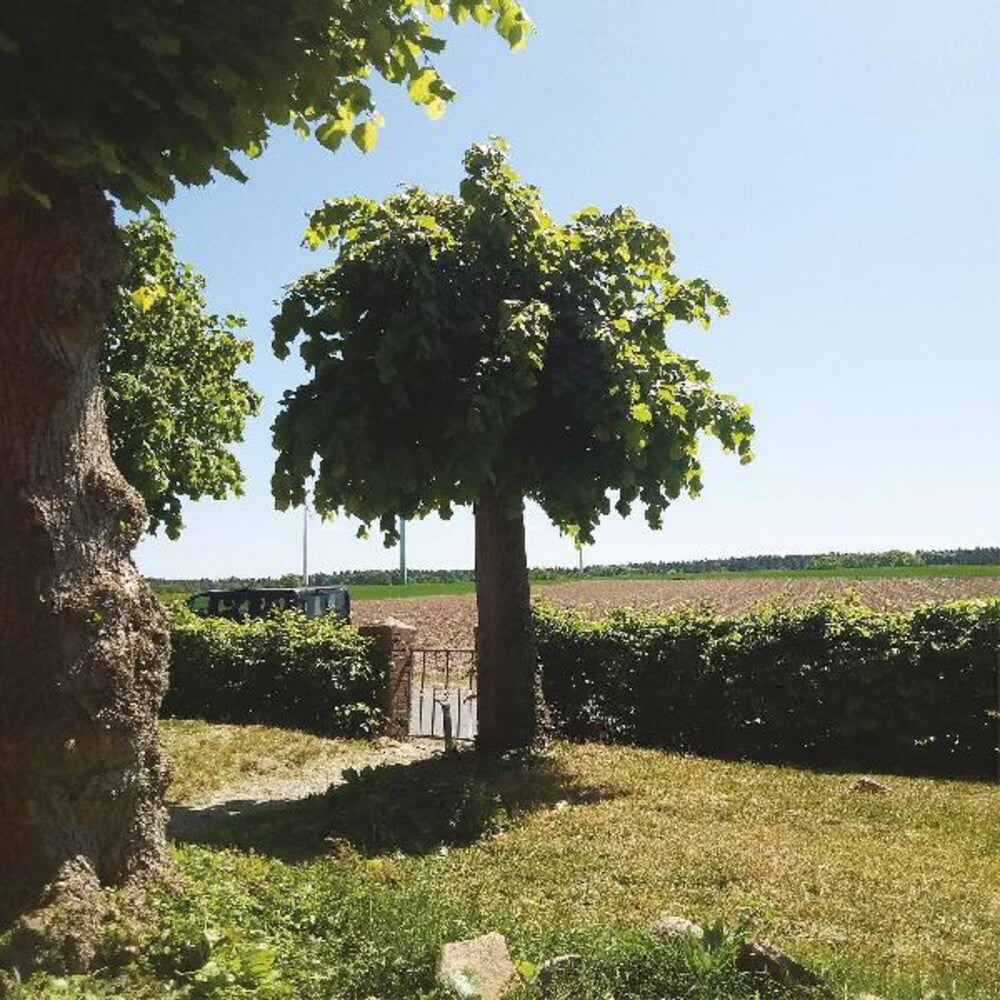 the album cover for Sigtryggur Sigmarsson  Berg - Into The Second Half