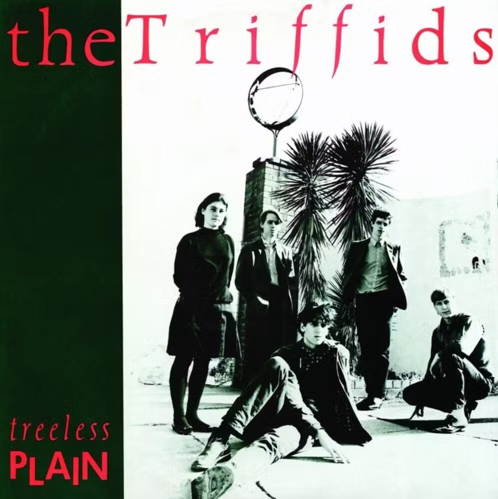 the album cover for Triffids - Treeless Plain (40th Anniversary) [Reissue]