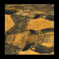 the album cover for Tashi Dorji - Tashi Dorji