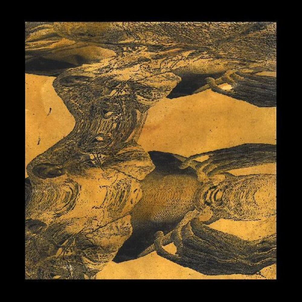 the album cover for Tashi Dorji - Tashi Dorji