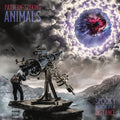 the album cover for Pattern-Seeking Animals - Spooky Action At A Distance