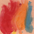 the album cover for Joel Andrews - Paradise Bird