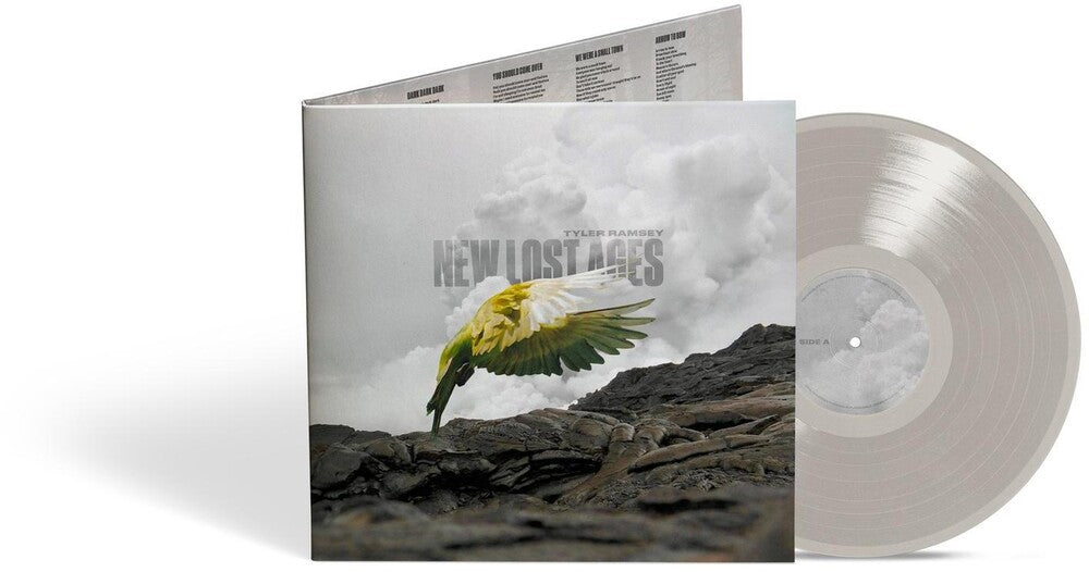 the album cover for Tyler Ramsey - New Lost Ages [Grey LP]