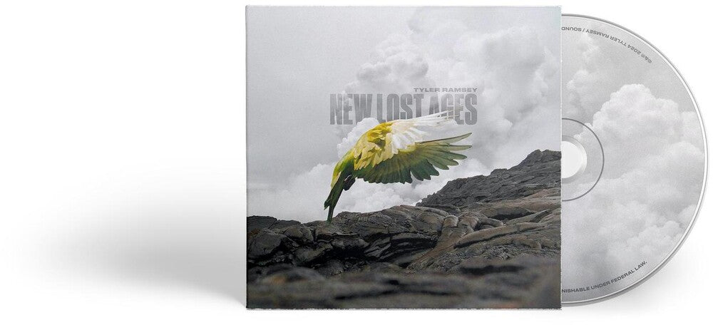 the album cover for Tyler Ramsey - New Lost Ages