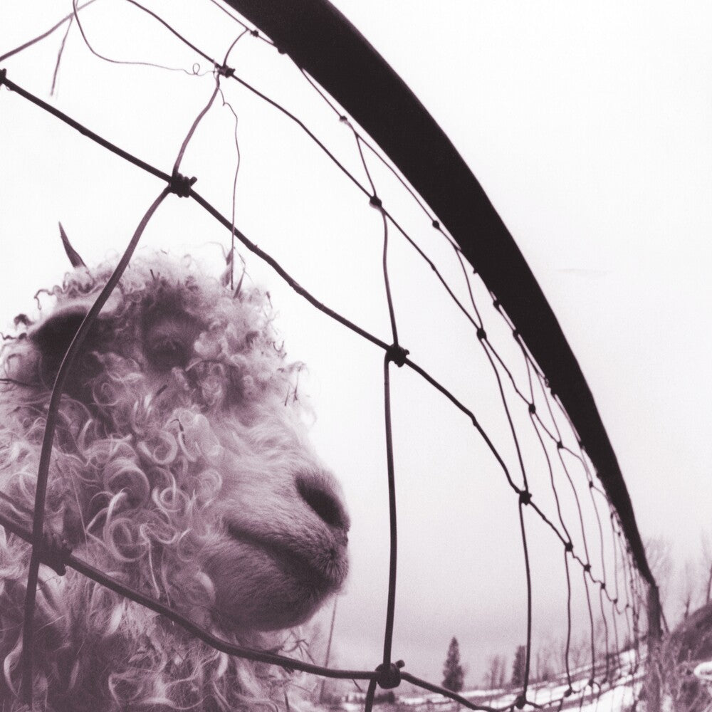 the album cover for Pearl Jam - Vs. 30th Anniversary Edition [2LP]