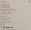 the album cover for Sylvan Esso - No Rules Sandy [Colored Vinyl] (Grn) [Limited Edition]