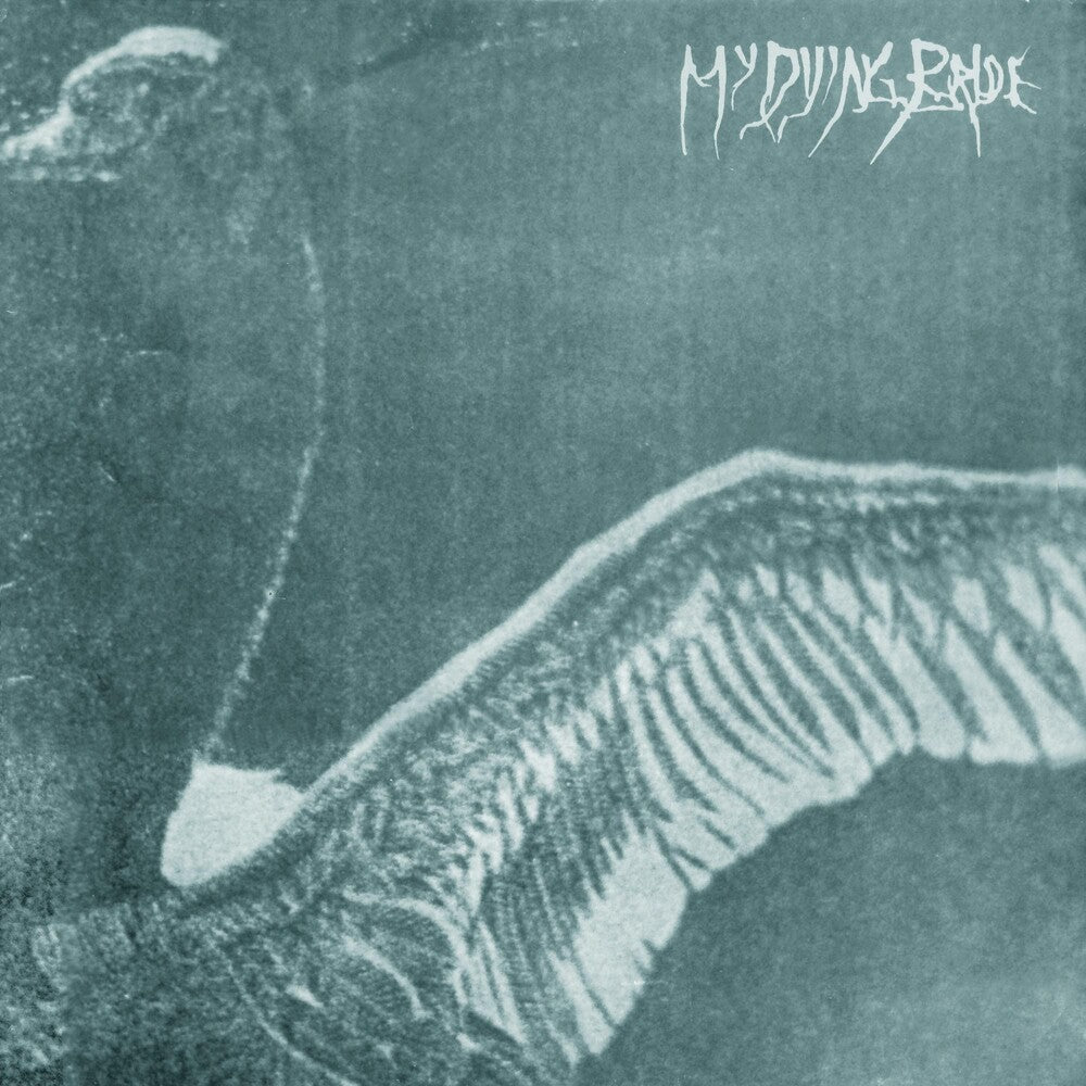 the album cover for My Dying Bride - Turn Loose The Swans ( 30th Anniversary Marble Ed)