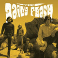 the album cover for Daily Flash - Legendary Recordings 1965-1967