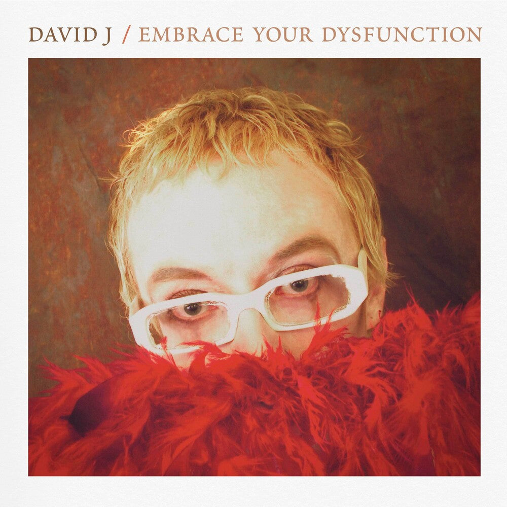 the album cover for David J - Embrace Your Dysfunction (Bonus Tracks) [Reissue]
