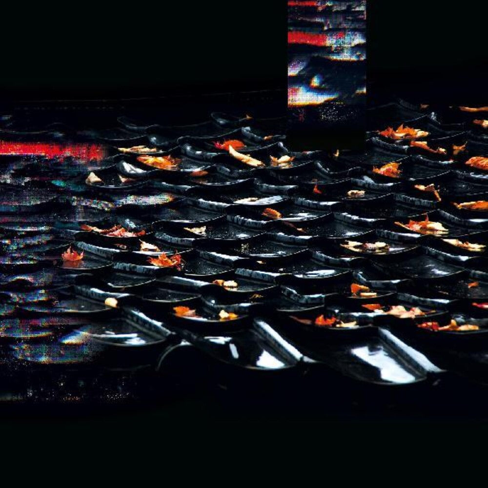 the album cover for Eraldo Bernocchi  / Yamane,Hoshiko - Sabi