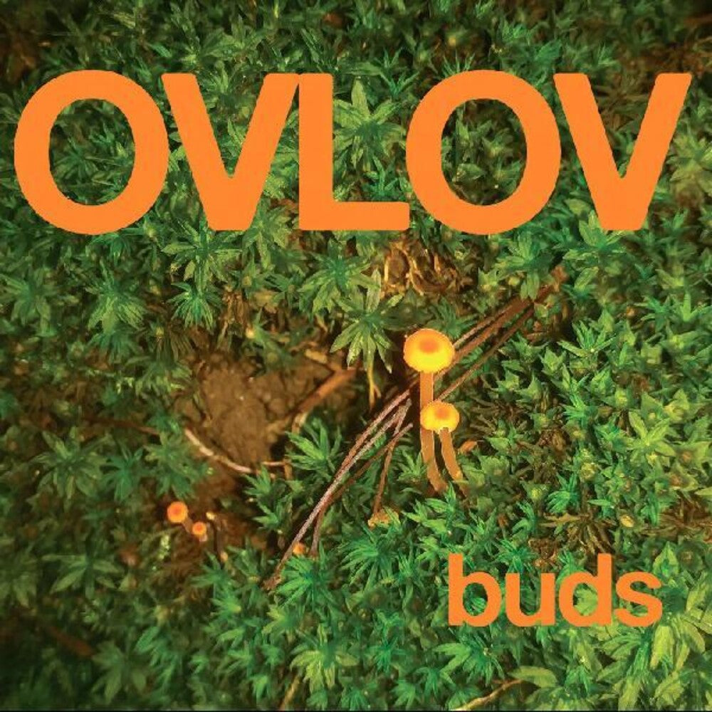 the album cover for Ovlov - Buds [Colored Vinyl] (Grn)