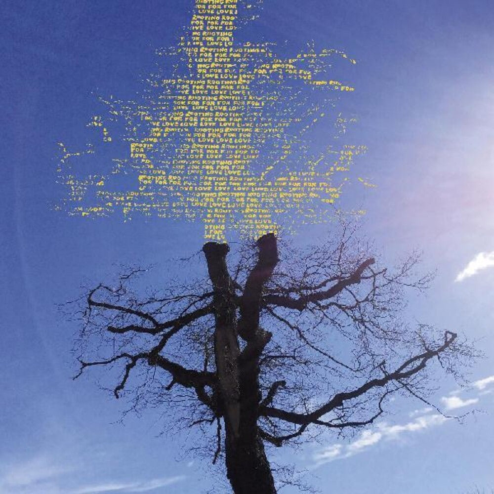 the album cover for Laetitia Sadier - Rooting For Love