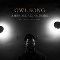 the album cover for Ambrose Akinmusire - Owl Song