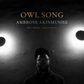 the album cover for Ambrose Akinmusire - Owl Song [LP]