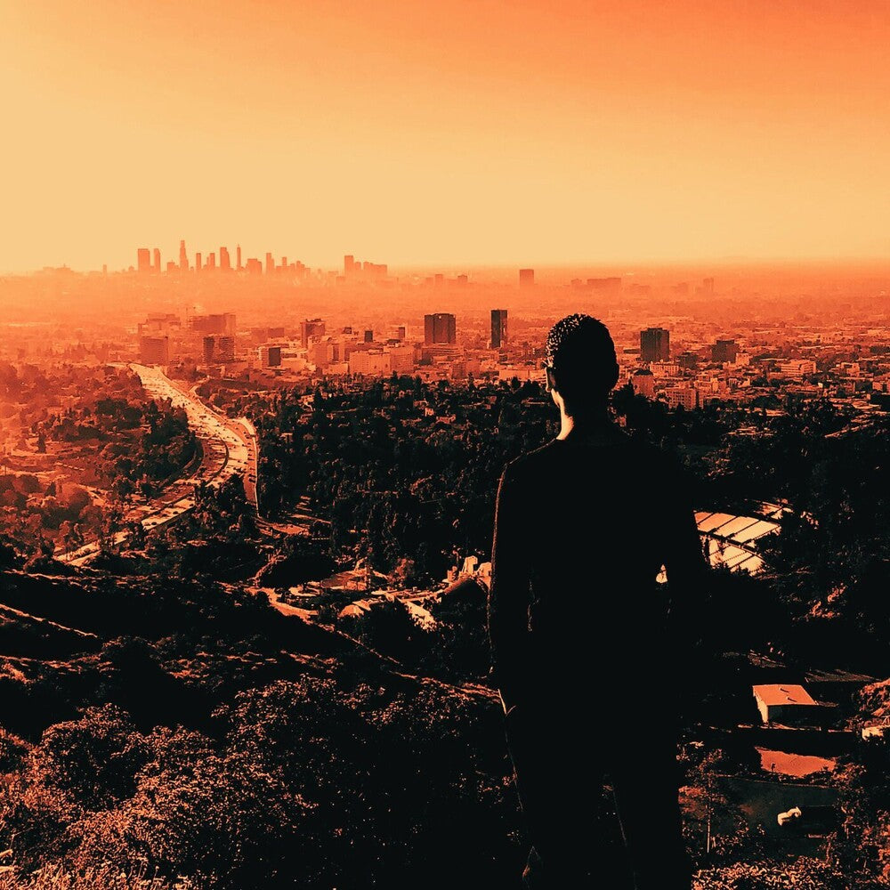 the album cover for David Zylberman  / Dam-Funk - Welcome To L.A. B/W City Of Angels