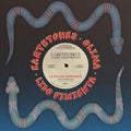 the album cover for Earthtones - La Mujer Serpiente B/W Selam