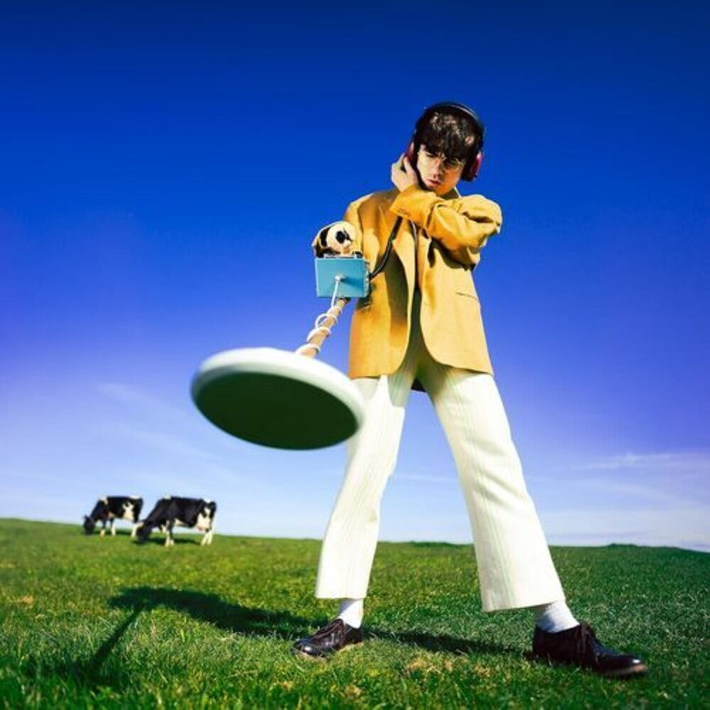 the album cover for Declan McKenna - What Happened To The Beach