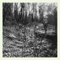 the album cover for topographies - Interior Spring