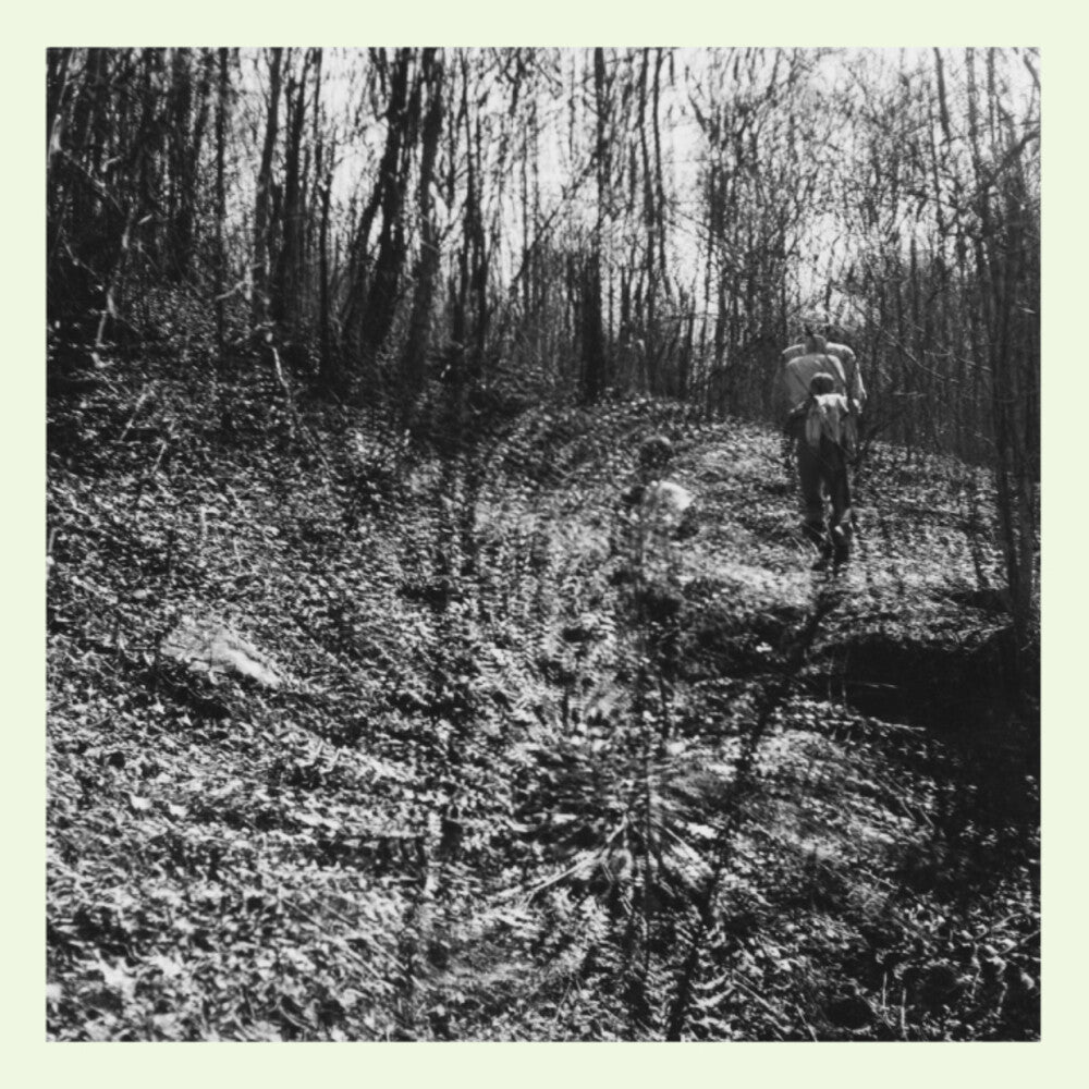 the album cover for topographies - Interior Spring