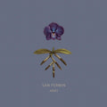 the album cover for San Fermin - Arms [LP]