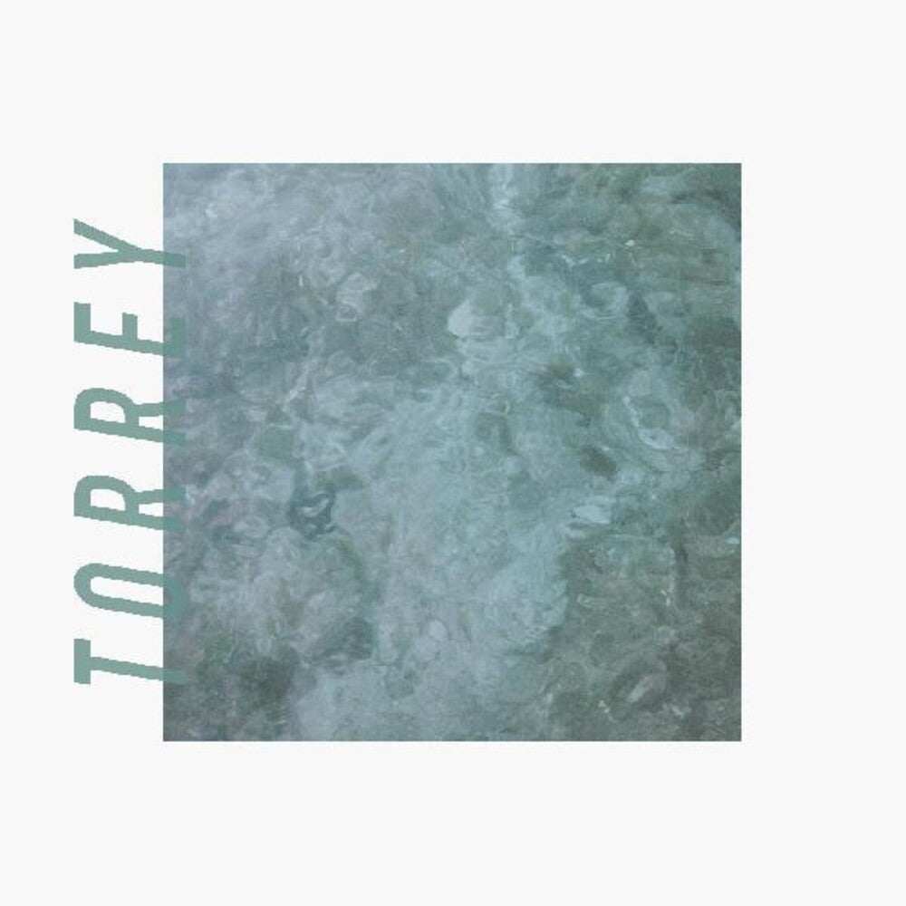 the album cover for Torrey - Torrey