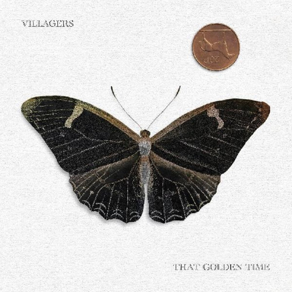 the album cover for Villagers - That Golden Time