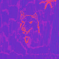 the album cover for Dehd - Poetry [CD]