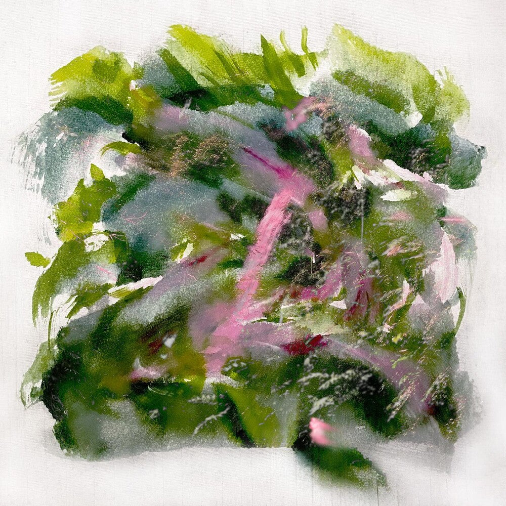 the album cover for Mizu - Forest Scenes [Colored Vinyl] (Pnk) (Red)