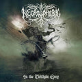 the album cover for Necrophobic - In The Twilight Grey [Limited Edition] (Medb)