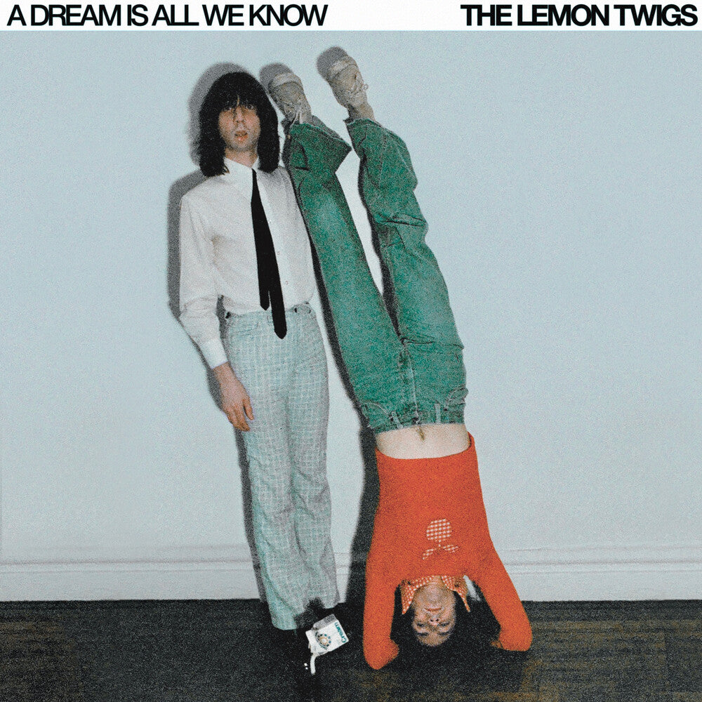 the album cover for The Lemon Twigs - Dream Is All We Know - Ice Cream [Colored Vinyl]