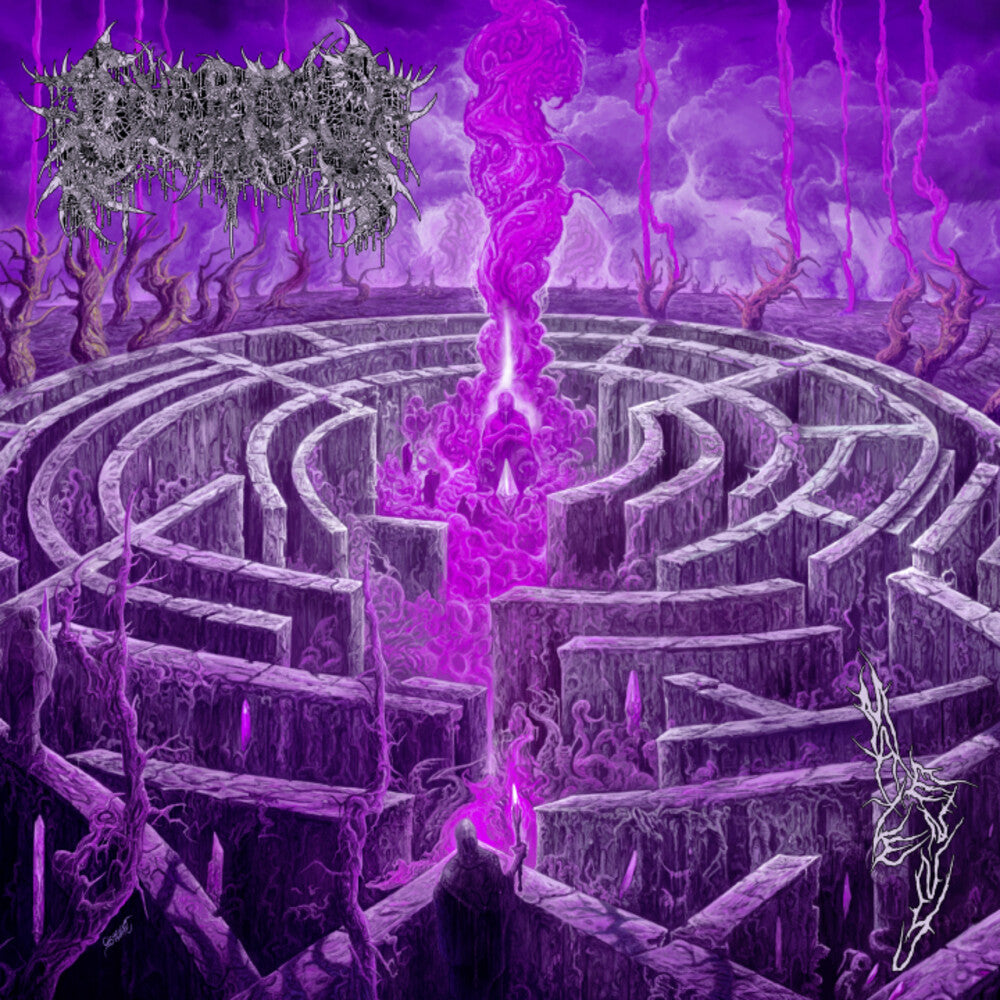 the album cover for Civerous - Maze Envy [Colored Vinyl] [Limited Edition] (Mgta) (Purp)
