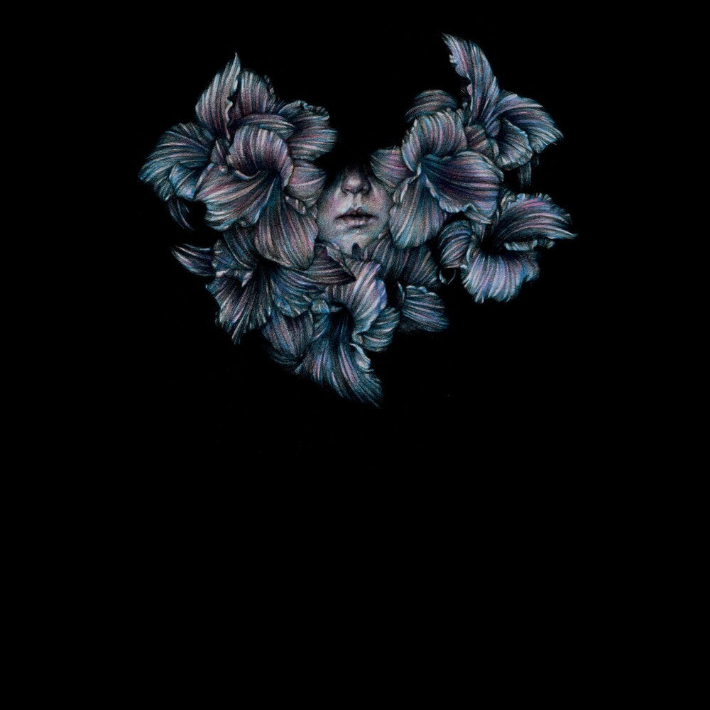 the album cover for Lot Like Birds - Divisi