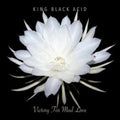 the album cover for King Black Acid - Victory For Mad Love [Record Store Day] 
