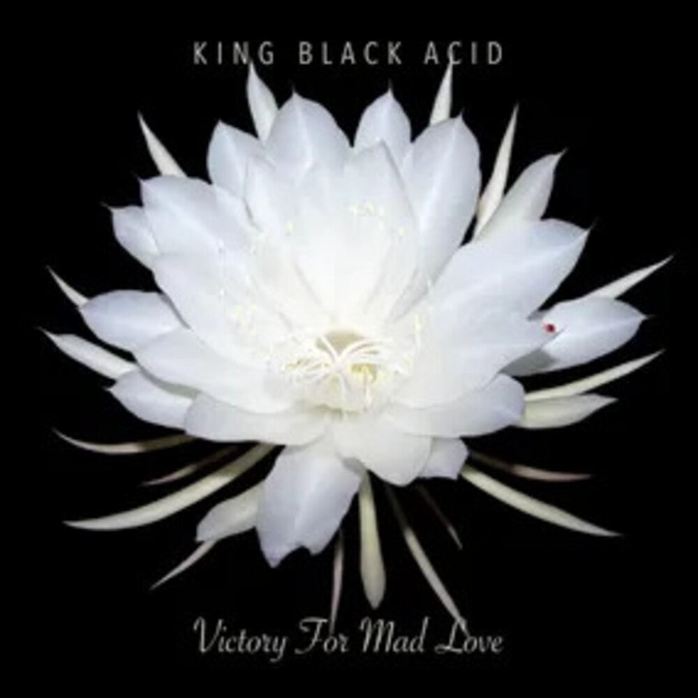 the album cover for King Black Acid - Victory For Mad Love [Record Store Day] 