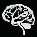 the album cover for Ruins - Brain Flakes (Lost Combo Tapes)