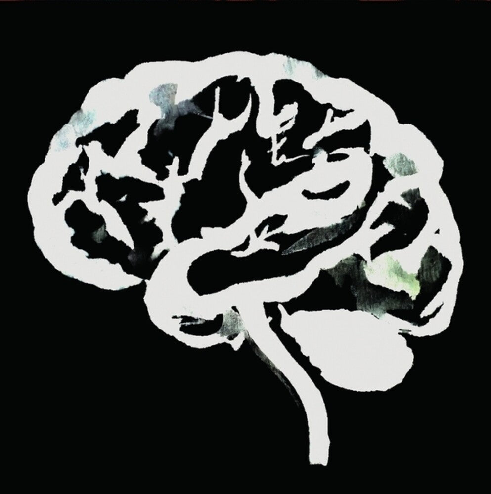 the album cover for Ruins - Brain Flakes (Lost Combo Tapes)