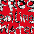 the album cover for DIIV - Frog In Boiling Water [LP]