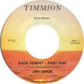 the album cover for Jimi Tenor  & Cold Diamond & Mink - Gaia Sunset - Yellow [Colored Vinyl] [Clear Vinyl] (Ylw)