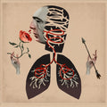 the album cover for Hot Water Music - Vows [Clear Vinyl] [Indie Exclusive]