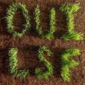 the album cover for Les Savy Fav - OUI, LSF [CD]