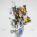 the album cover for Big/Brave - A Chaos of Flowers