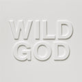 the album cover for Nick Cave & The Bad Seeds - Wild God [Clear LP]