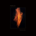 the album cover for Pallbearer - Mind Burns Alive