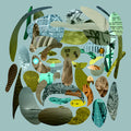 the album cover for Pedro The Lion - Santa Cruz
